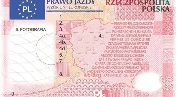 Jak odebrać prawo jazdy po zdanym egzaminie - krok po kroku bez problemów
